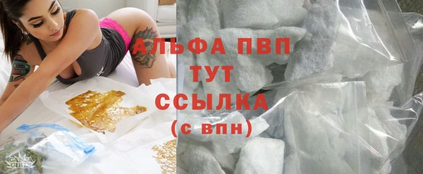 крисы Алзамай