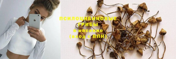 крисы Алзамай