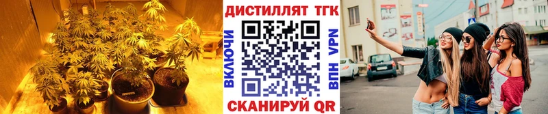 что такое   Орёл  Дистиллят ТГК жижа 